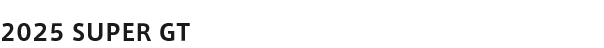 2025 SUPER GT RACE PHOTO