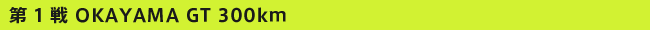 ��1�� OKAYAMA GT 300km